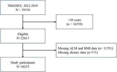 Higher ultra processed foods intake is associated with low muscle mass in young to middle-aged adults: a cross-sectional NHANES study